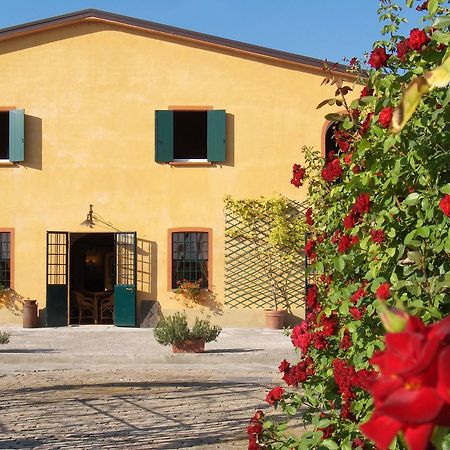 Agriturismo Le Colombaie 부세토 외부 사진