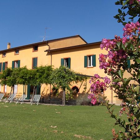 Agriturismo Le Colombaie 부세토 외부 사진