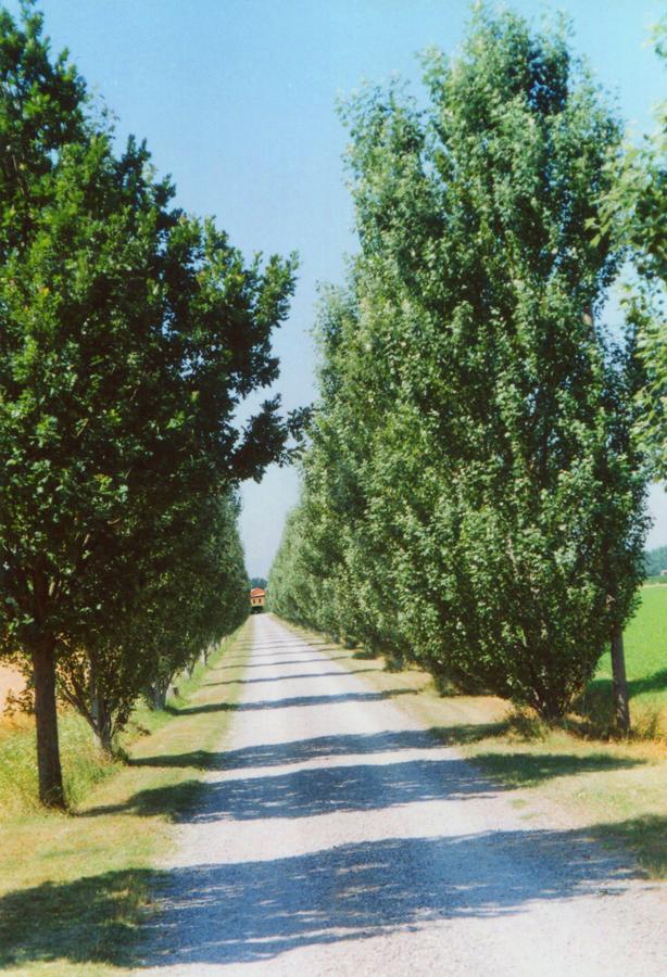 Agriturismo Le Colombaie 부세토 외부 사진