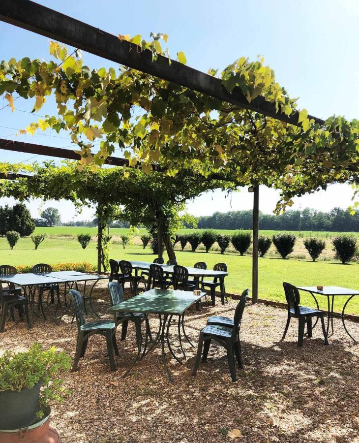 Agriturismo Le Colombaie 부세토 외부 사진